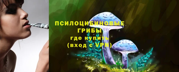 МДПВ Няндома