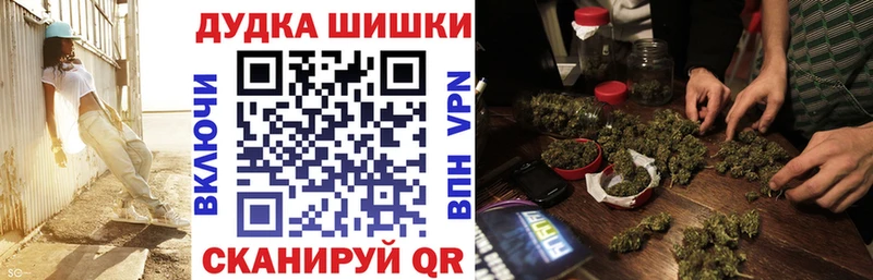Марихуана план  Купить закладки  Строитель 